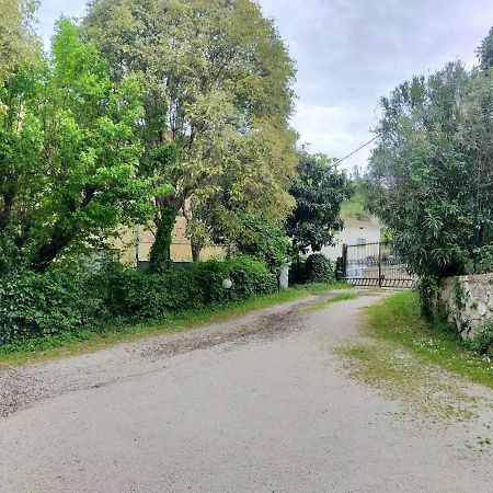Casina Gentili Apartment Perugia Ngoại thất bức ảnh